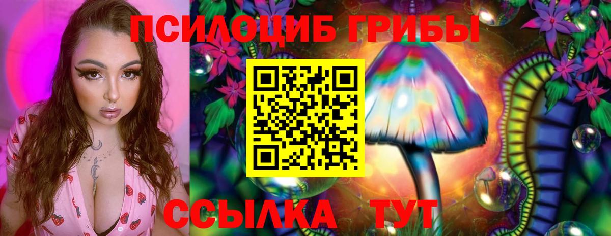 Псилоцибиновые грибы мухоморы Борзя