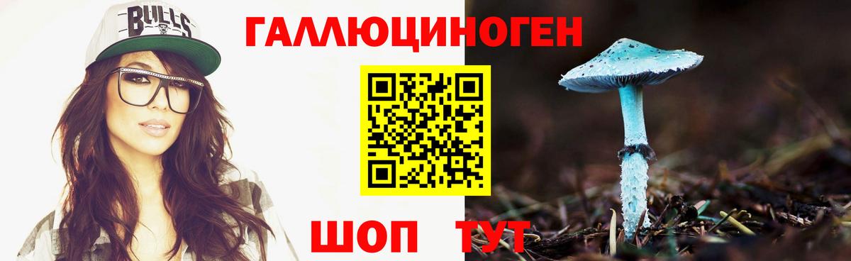 Галлюциногенные грибы Psilocybine cubensis  Вход с VPN  Борзя 